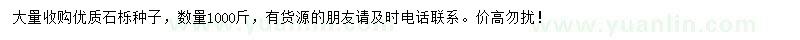 求購(gòu)石櫟種子