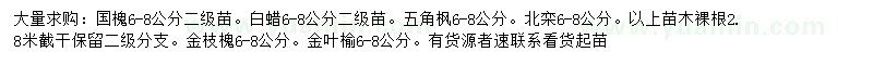 求購國槐、白蠟、五角楓等