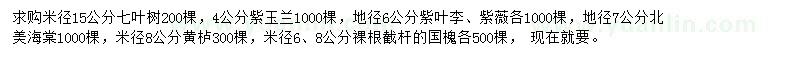 求購(gòu)七葉樹、紫玉蘭、紫葉李等