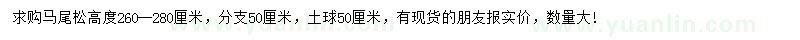 求購高260--280公分馬尾松
