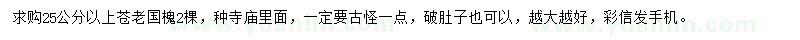 求購25公分以上國槐