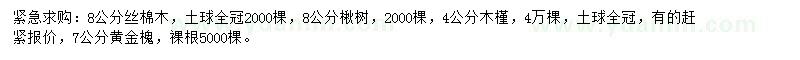求購絲棉木、楸樹、木槿等