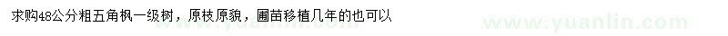 求購48公分五角楓