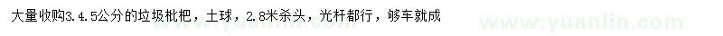 求購3、4、5公分枇杷樹