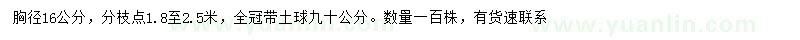 求購1.2米處量16公分國槐