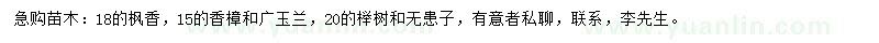 求購楓香、香樟、廣玉蘭等
