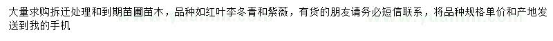 求購(gòu)紅葉李、冬青、紫薇