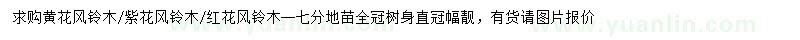 求購黃花風(fēng)鈴木、紫花風(fēng)鈴木、紅花風(fēng)鈴木