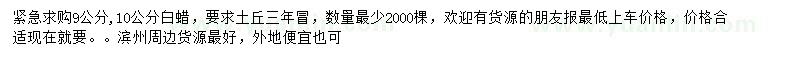 求購9、10公分白蠟