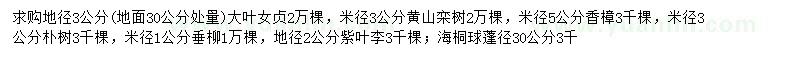 求購大葉女貞、黃山欒樹、香樟等