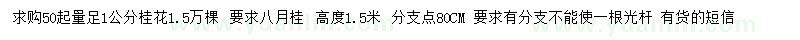 求購50處量1公分桂花