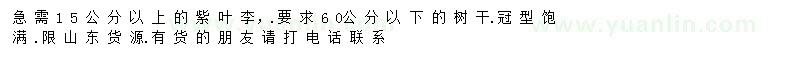 求購15公分以上紫葉李