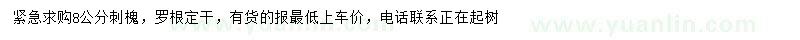 求購8公分刺槐