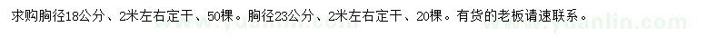 求購(gòu)胸徑18、23公分柿子樹(shù)