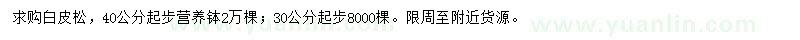 求購30、40公分白皮松