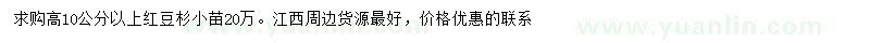 求購(gòu)高10公分以上紅豆杉小苗