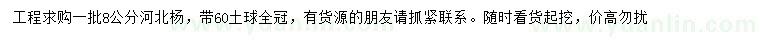 求購8公分河北楊