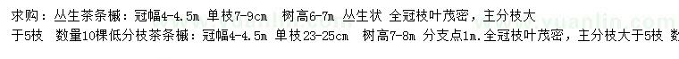 求購(gòu)叢生茶條槭