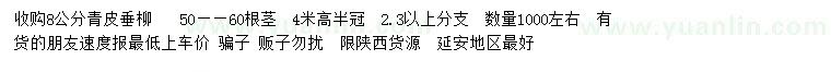 求購8公分青皮垂柳