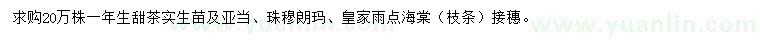 求購一年生甜茶實(shí)生苗
