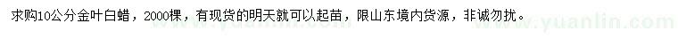 求購10公分金葉白蠟