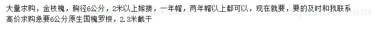 求購胸徑6公分金枝槐、原生國槐羅根