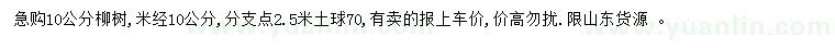 求購10公分柳樹