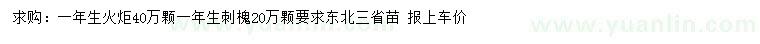 求購一年生火炬、刺槐