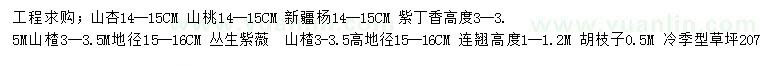 求購山杏、山桃、 新疆楊等