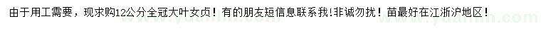 求購(gòu)12公分大葉女貞