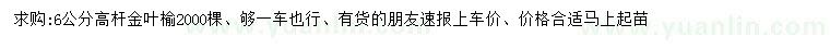 求購(gòu)6公分高桿金葉榆