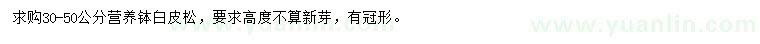 求購30-50公分白皮松