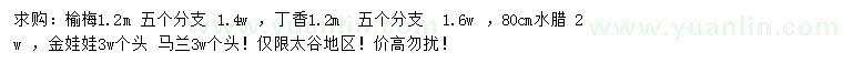 求購榆梅、丁香、水臘等