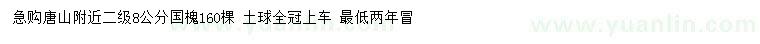 求購8公分國槐