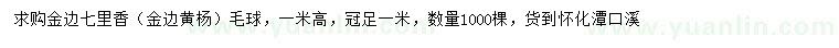 求購(gòu)冠1米金邊黃楊毛球