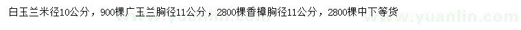 求購(gòu)白玉蘭、廣玉蘭、香樟