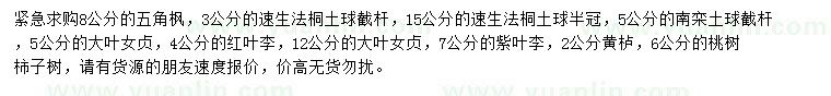 求購五角楓、速生法桐、南欒等