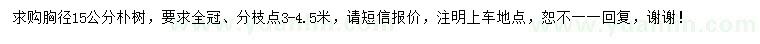 求購胸徑15公分樸樹