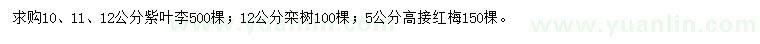 求購紫葉李、欒樹、紅梅
