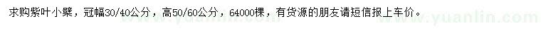 求購高50-60公分紫葉小檗