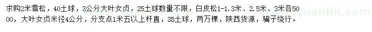 求購(gòu)雪松、大葉女貞、白皮松