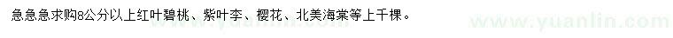 求購紅葉碧桃、紫葉李、櫻花等