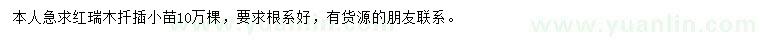 求購紅瑞木扦插小苗