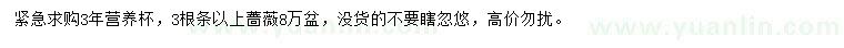 求購薔薇營養(yǎng)杯