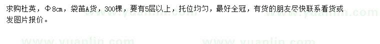 求購胸徑8公分杜英