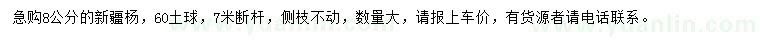 求購8公分新疆楊