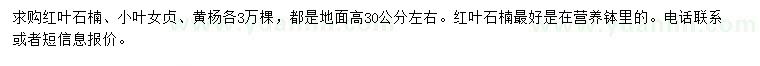 求購紅葉石楠、小葉女貞、黃楊