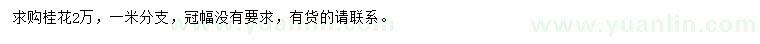 求購桂花