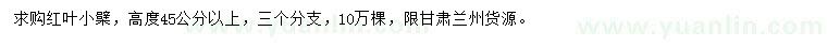 求購(gòu)高度45公分以上紅葉小檗