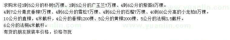 求購(gòu)樸樹(shù)、廣玉蘭、紫薇等